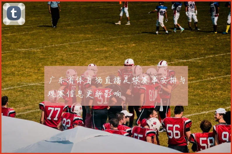 广东省体育场直播足球赛事安排与观赛信息更新影响