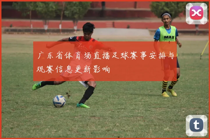 广东省体育场直播足球赛事安排与观赛信息更新影响