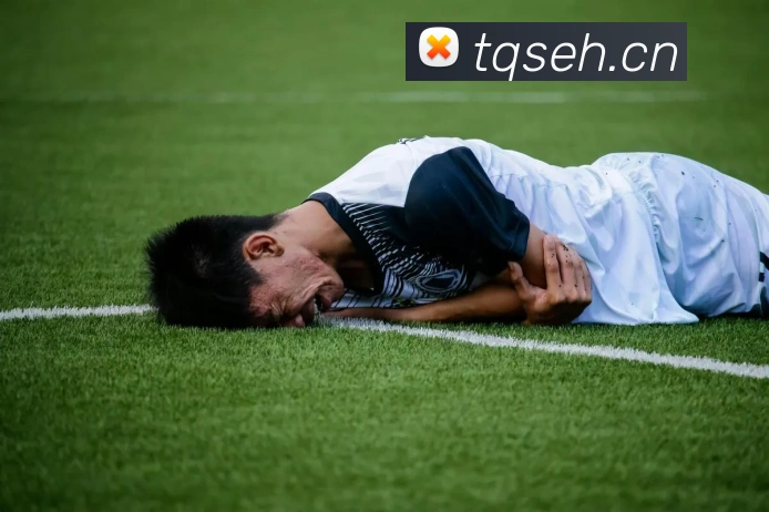 环球app网址平台生态图